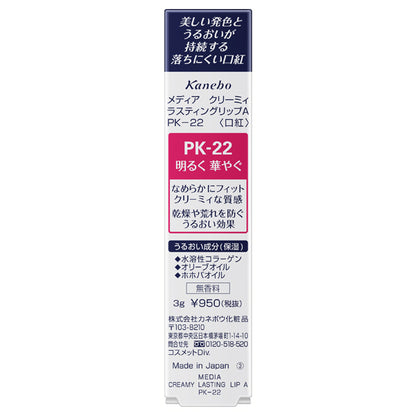 media Creamy Lasting Lip A, PK-22, 3g, Fragrance-free