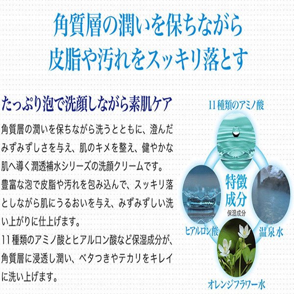 Hanajirushi Moisturizing Water Facial Wash Cream, 150g
