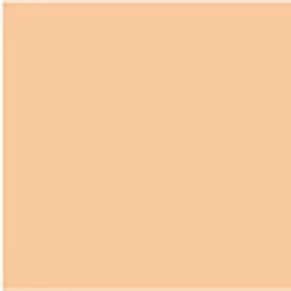 Dermacolor Camouflage Perfect Concealer (D4 Medium Beige)