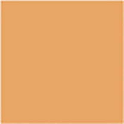 Dermacolor Camouflage Perfect Concealer (D64 Medium Ochre)