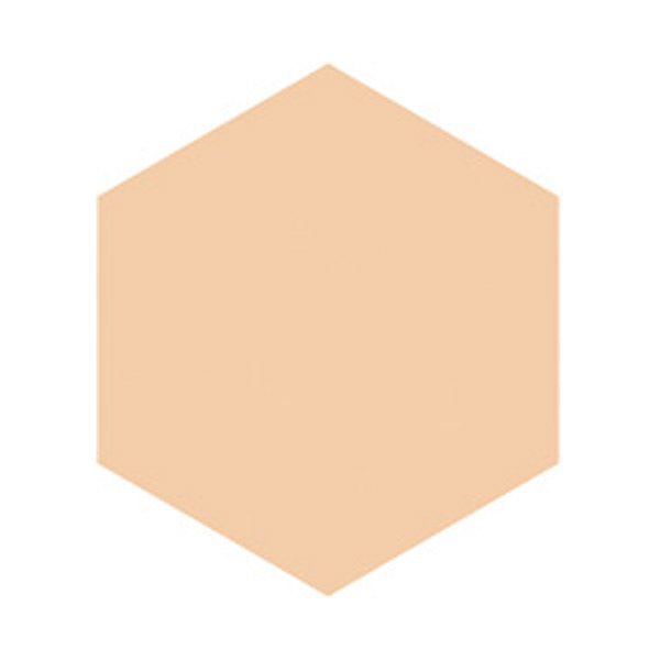 INTEGRATE Profinish Foundation SPF16 (Ochre 00)