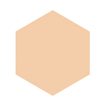 INTEGRATE Profinish Foundation SPF16 (Ochre 00)