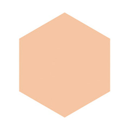 INTEGRATE Pro Finish Foundation, SPF16 PA++, Ocher 10, 10g