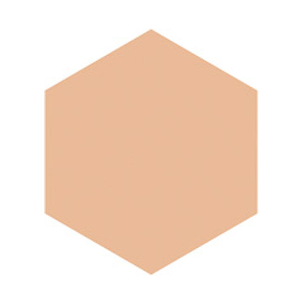 INTEGRATE Pro Finish Foundation, SPF16 PA++, Ocher 20, 10g