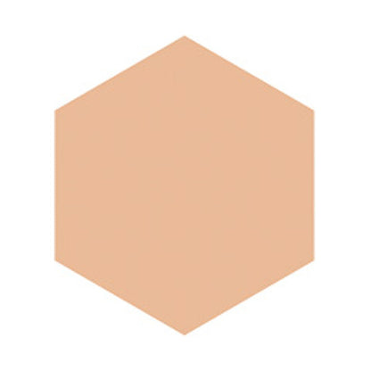INTEGRATE Pro Finish Foundation, SPF16 PA++, Ocher 20, 10g