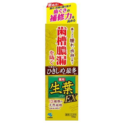 Shoyo Shoyo EX Toothpaste, 100g