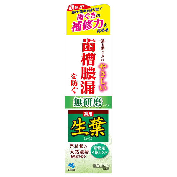 Shoyo Shoyo Non-Abrasive Toothpaste, 95g